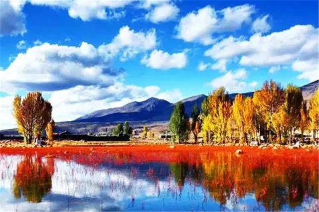 雙凱智能:說走就走旅行?有TA更輕松